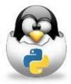 Data Science with Hadoop, Python and R @ DataInquest course Data Science with Hadoop, Python and R @ DataInquest course