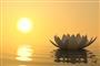 Free Guided Meditation (Aura Meditation) Free Guided Meditation (Aura Meditation)