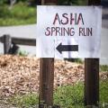 Asha Spring Run Asha Spring Run