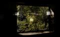Film Screening Film Screening