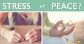 Stress-Free Success Secrets Stress-Free Success Secrets