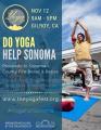 Yoga FEST 2017 Yoga FEST 2017