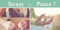 Breath & Meditation - Tools for stress management Breath & Meditation - Tools for stress management